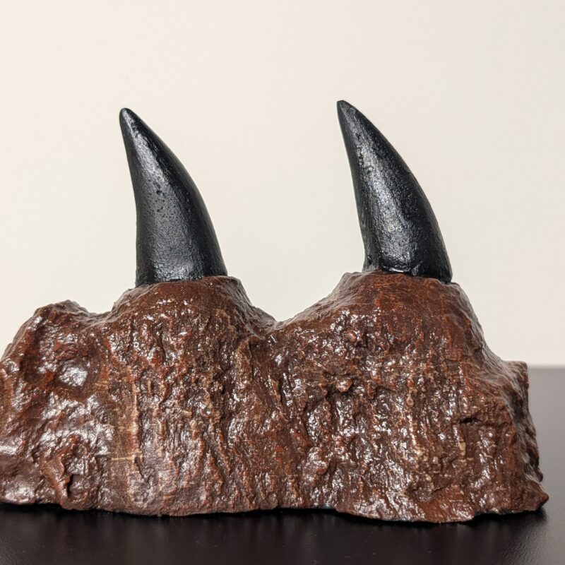 Mosasaur Jaw Fragment Replica Tylosaurus (3010)