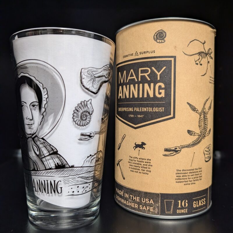 Mary Anning Glassware (3020)