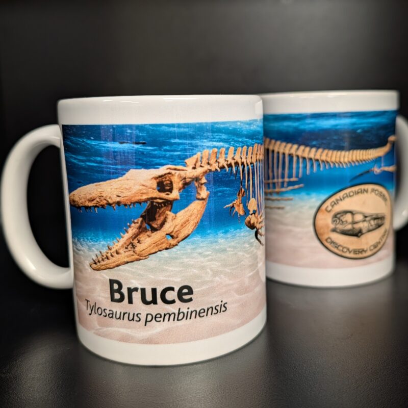 Coffee Mug - Bruce (3052)