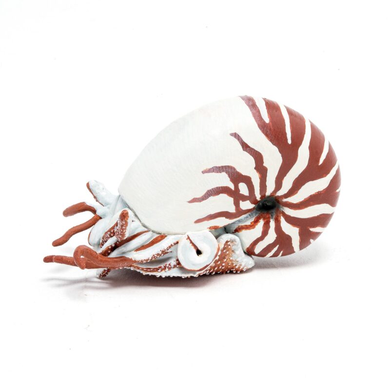 Papo Nautilus (9686)