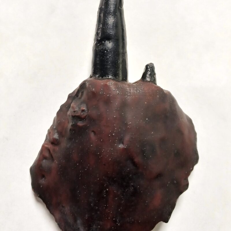 Xiphactinus Tooth and Jaw Replica (3057)