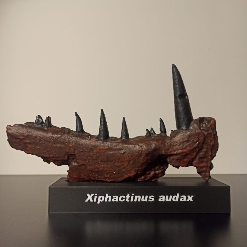 Xiphactinus Jaw Replica (3058)