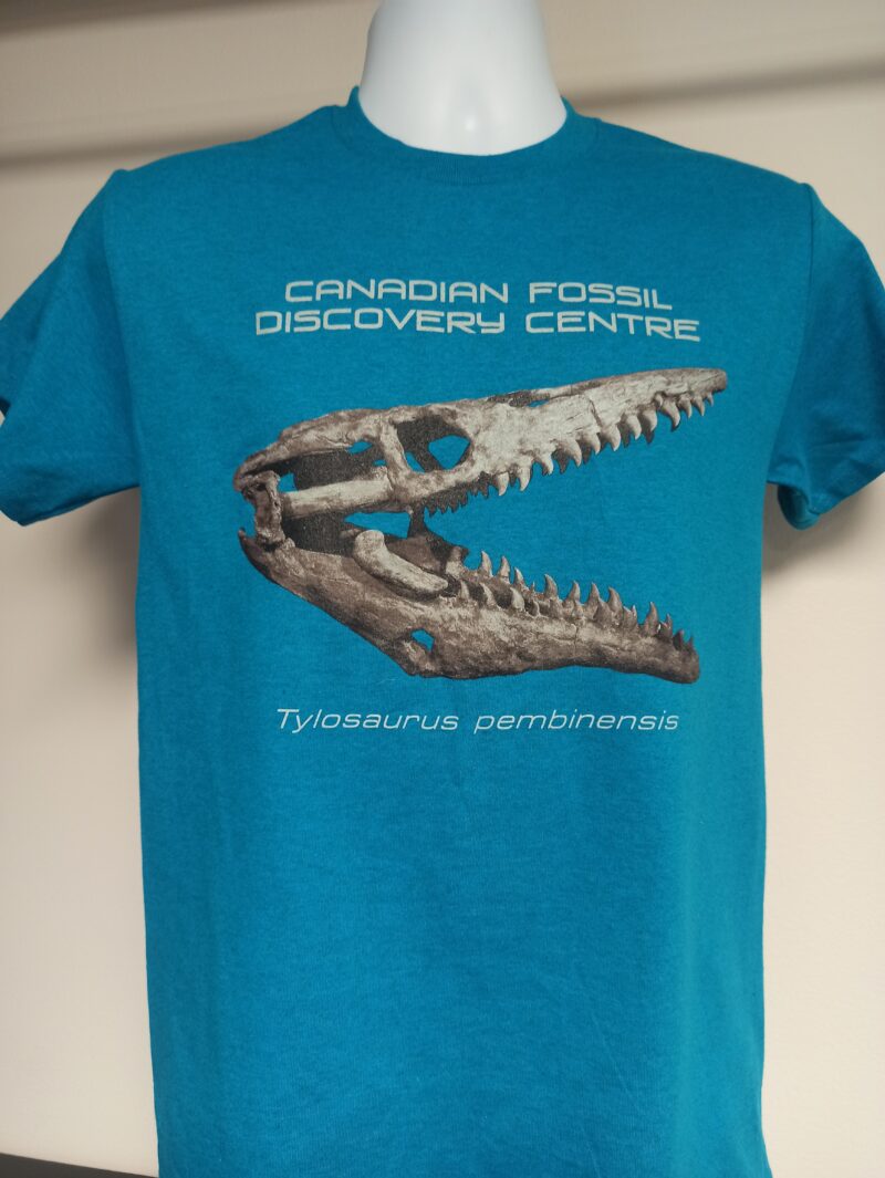 Blue Mosasaur Skull T-Shirt, XL (1077)