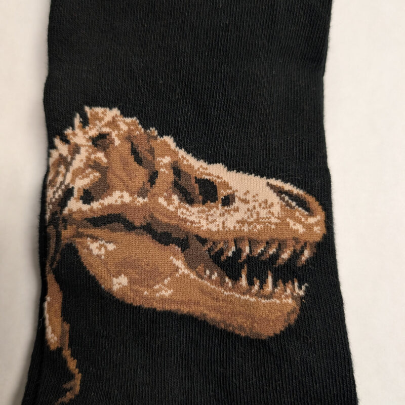 T-Rex Close-Up Skeleton Socks, Black – Size 9-13½  (1086)