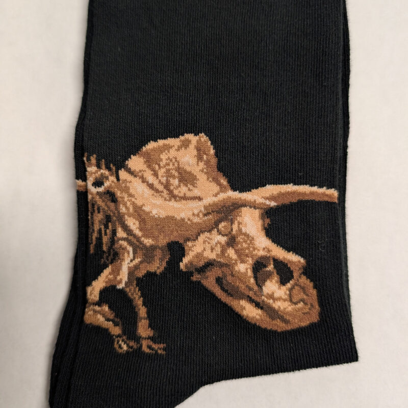 Triceratops Skeleton Socks, Black – Size 9-13½ (1090)