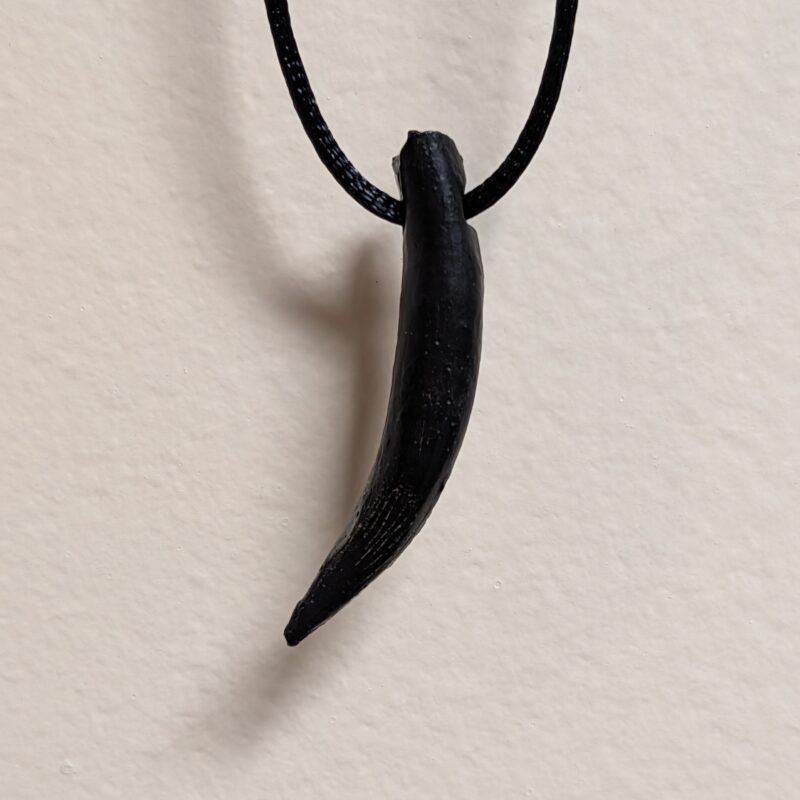 Martinectes bonneri Plesiosaur Tooth Replica Pendant (5086)