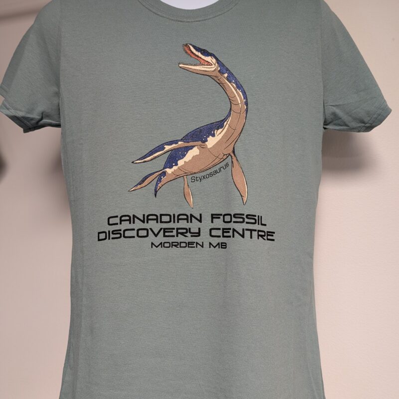 Styxosaurus Ladies T-Shirt, Sage Green, XL (1094)
