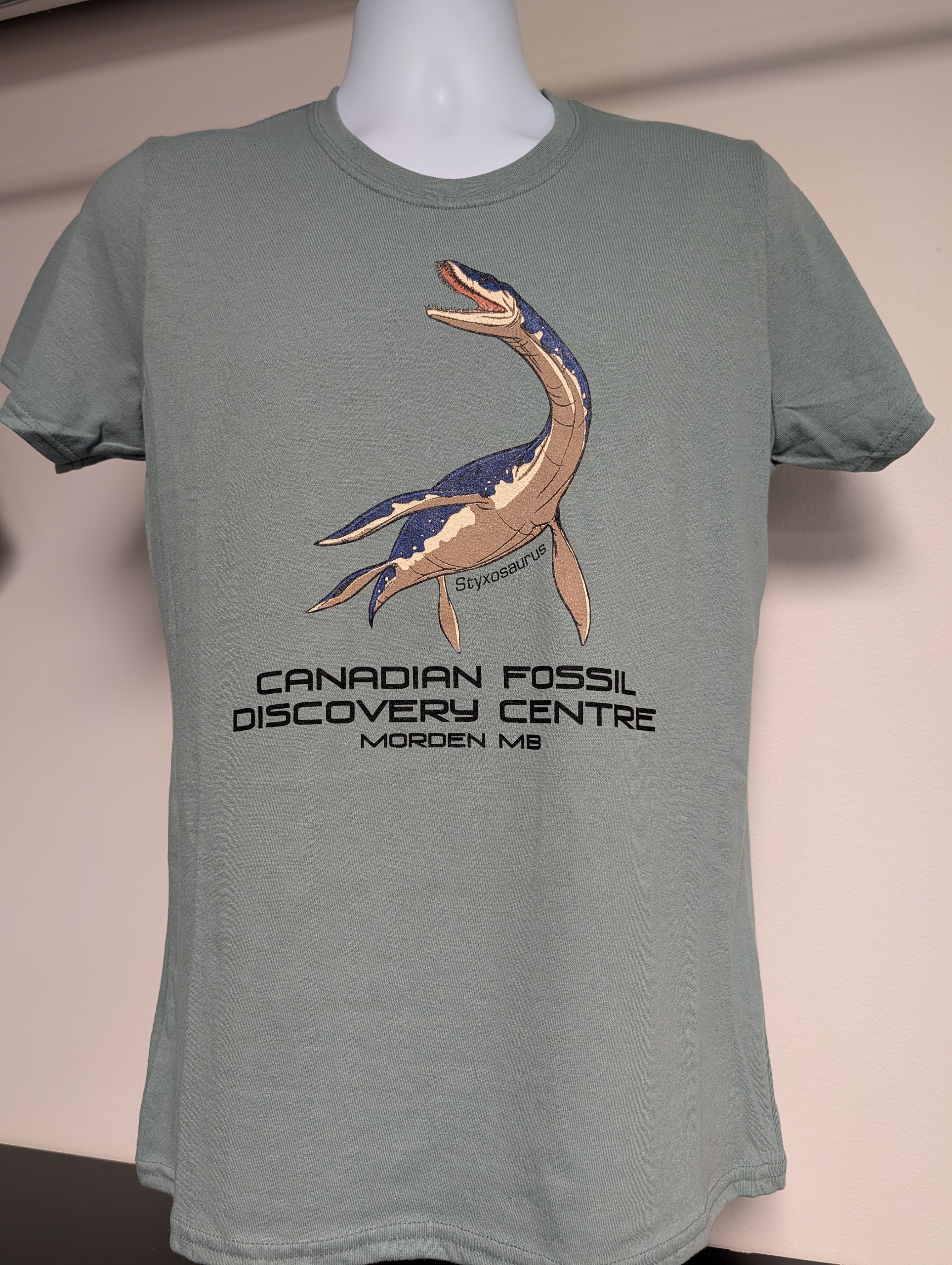 Styxosaurus Ladies T-Shirt, Sage Green, XL (1094)